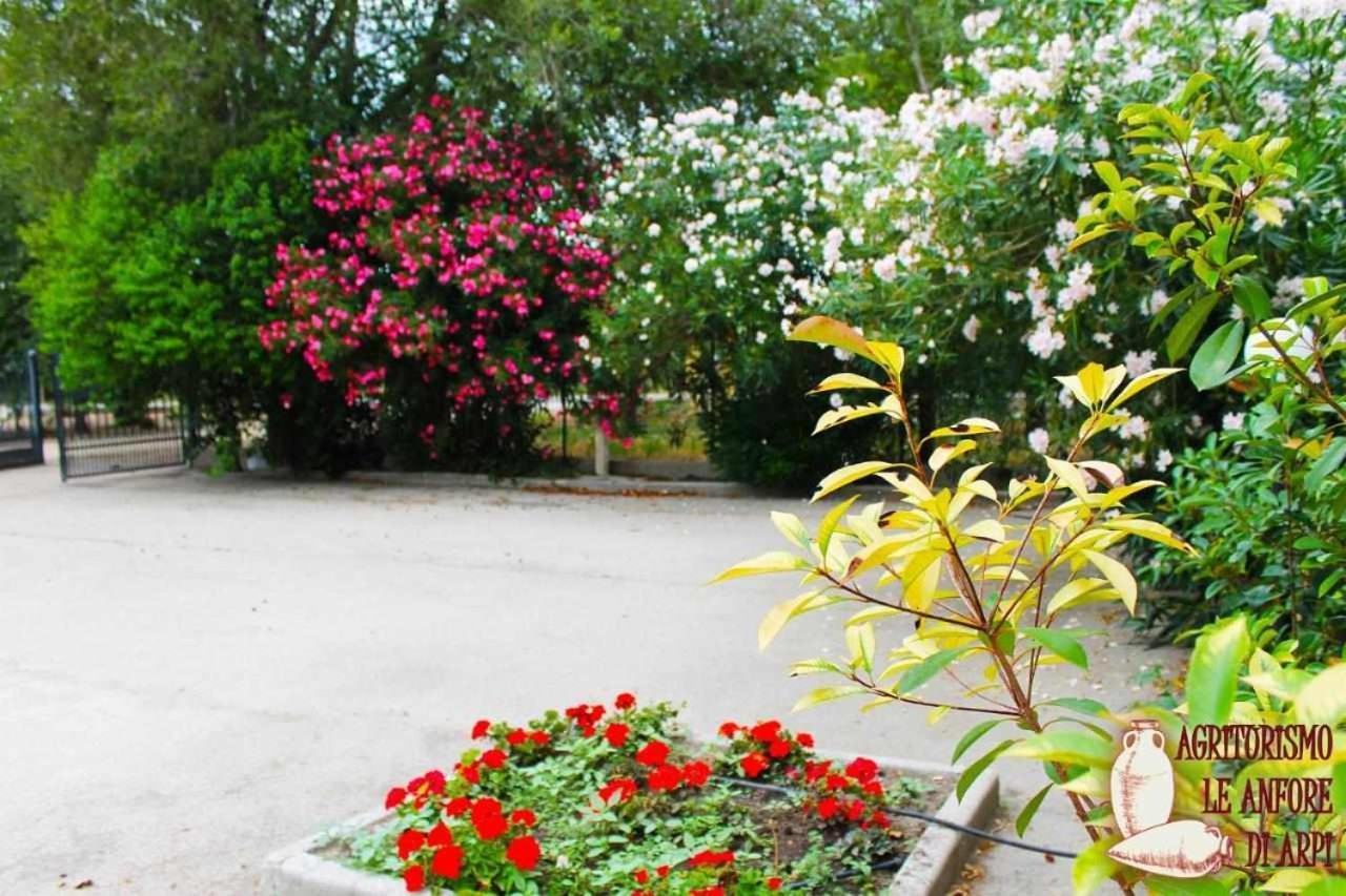 Le Anfore Di Arpi Foggia Oda fotoğraf