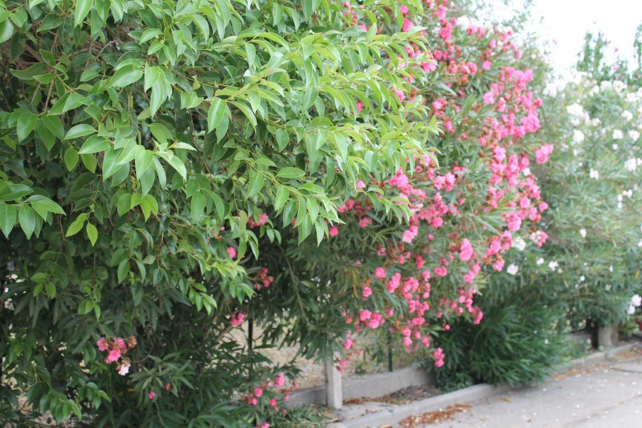 Le Anfore Di Arpi Foggia Dış mekan fotoğraf